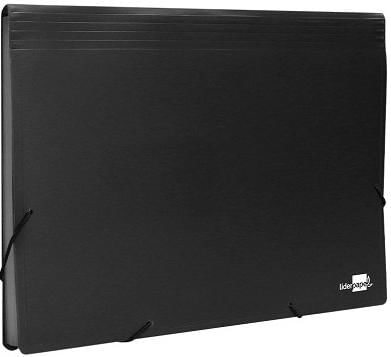 Classificador Plastico Com 13 Divisoes Preto