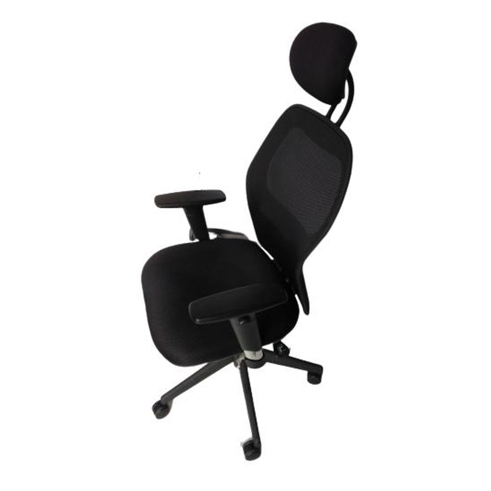 Cadeira Ergonômica Executiva 5-Níveis/3-Posições Preta